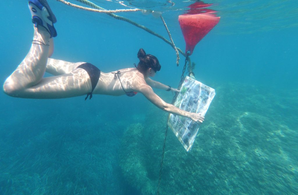 Se puede observar la bolla que delimita el sendero submarino.