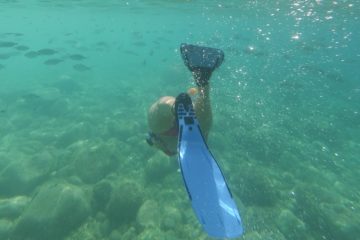 Fondos marinos de Calpe con Obladas.