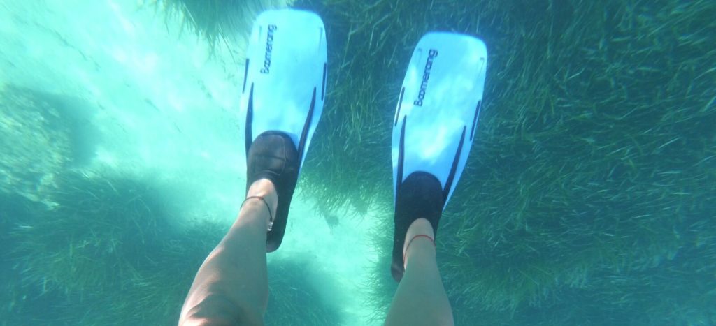 Fondo marino de Calpe compuesto por Posidonia y una zona de arena.