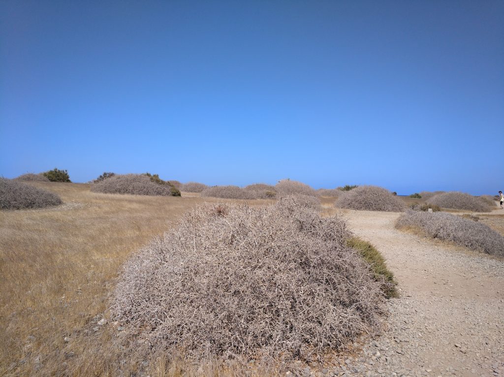 Paisaje desértico en Isla de Tabarca